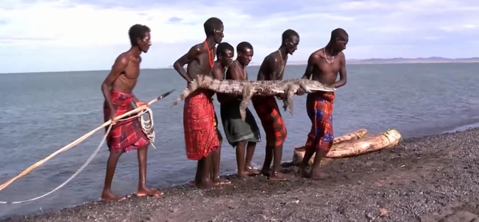非洲埃尔莫洛部落：每天顿顿都吃鱼，没鱼时就捕杀鳄鱼充饥