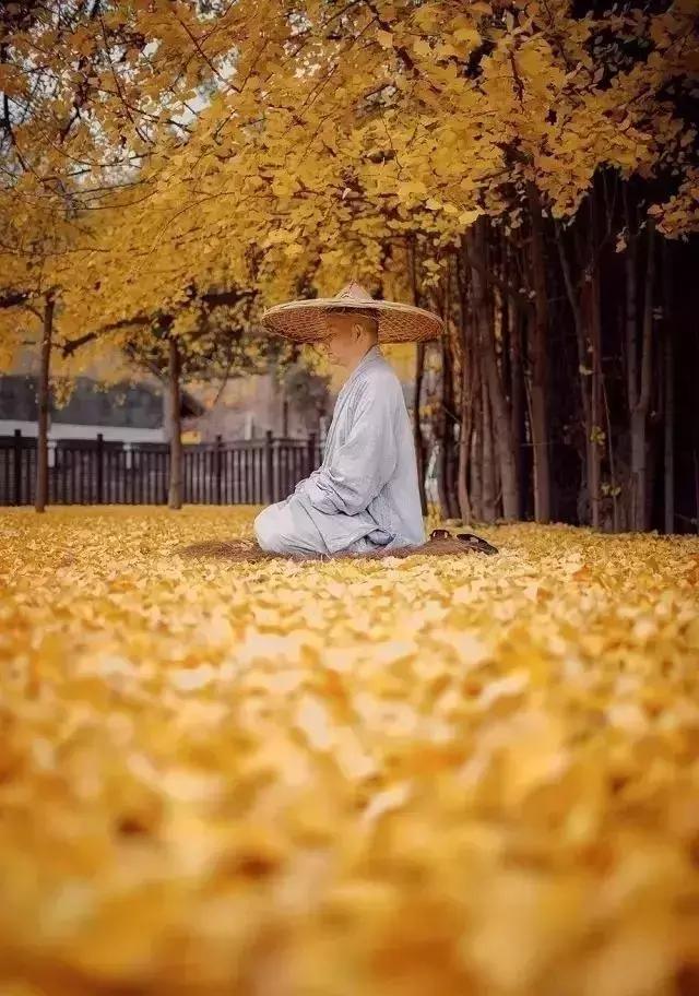 慎独深度好文完整版,慎独深度好文推荐