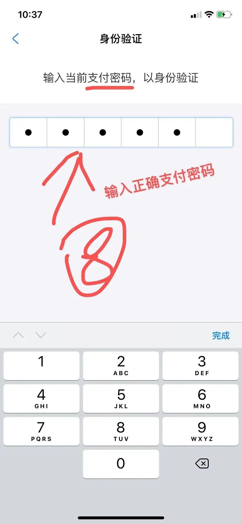 公安机关如何调取支付宝流水记录,如何用支付宝查询案底
