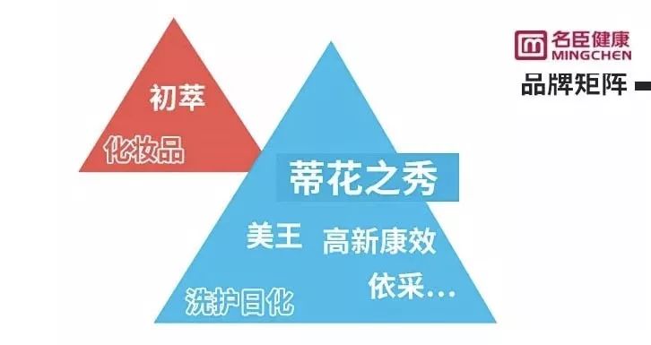 化妆品2020年度企业回忆视频,化妆品上市公司排名前十