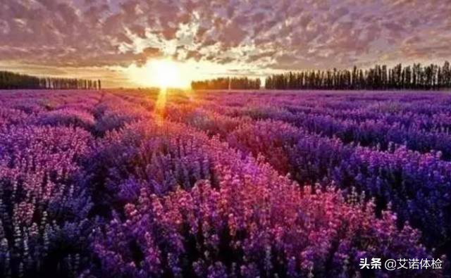 安徽旅行必去的10大景点,安徽旅行攻略必去十大景点