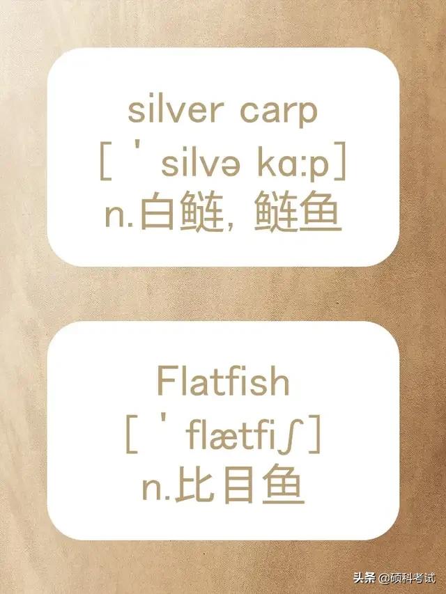 动物的英文拼写及音标,关于动物的单词及音标