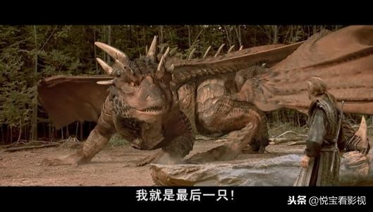 比较东方龙和西方龙的电影,电影中的西方龙对比东方龙