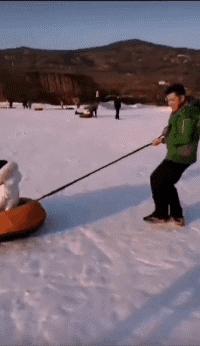 新娘开心的搞笑视频,搞笑gif开心一刻女司机上车