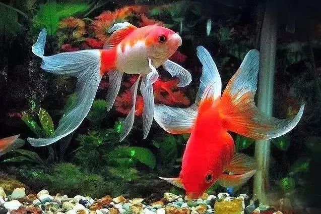 微信头像2020最火微信头像姓氏3d,卡通微信头像2020最火微信头像