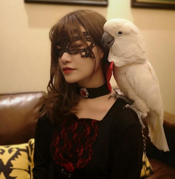 yy十大主播和抖音十大主播,现在yy主播都干什么副业