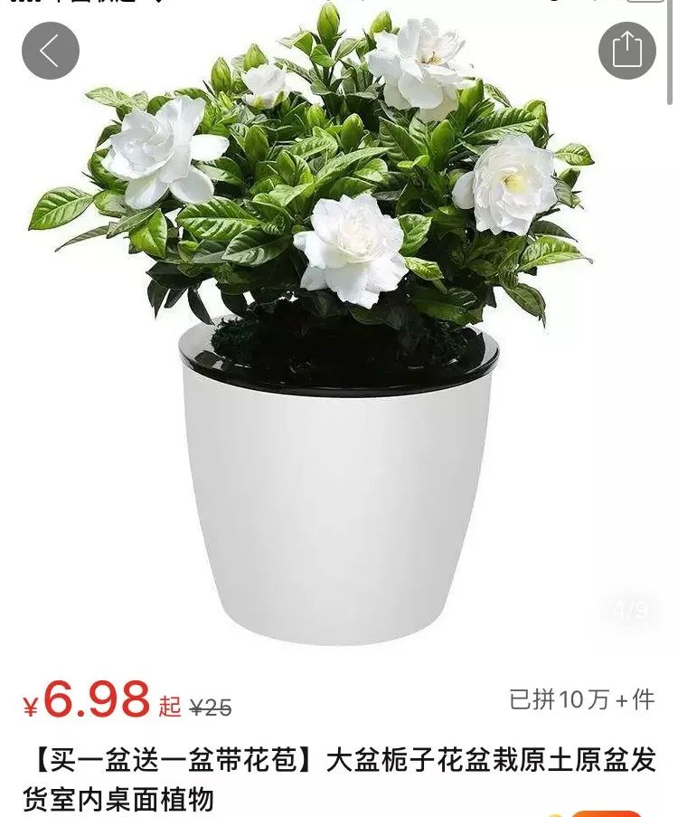 均价不过10元好物,均价不超过十块的好物分享