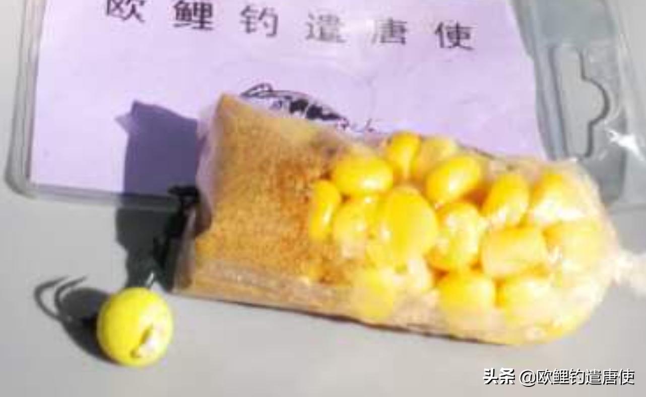 话说欧鲤钓之科学篇,欧鲤钓知识讲解