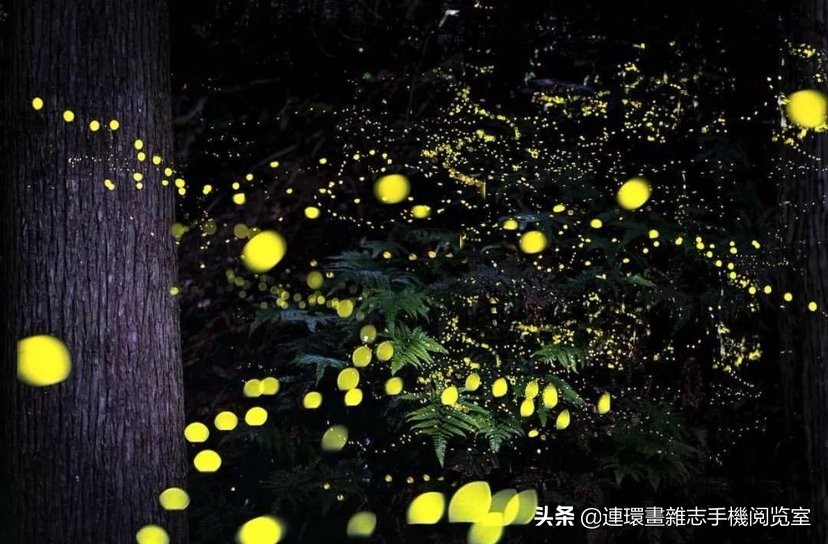 种地顺口溜大全集,种地忙顺口溜