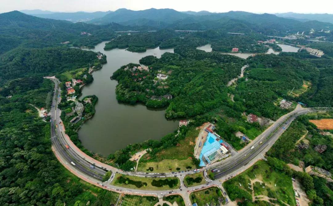 黄埔街坊家中深夜潜入1米长眼镜蛇，这三个捕蛇误区必须记住