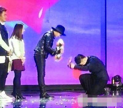 董卿李维嘉,牵一发而动全身与连锁反应的区别