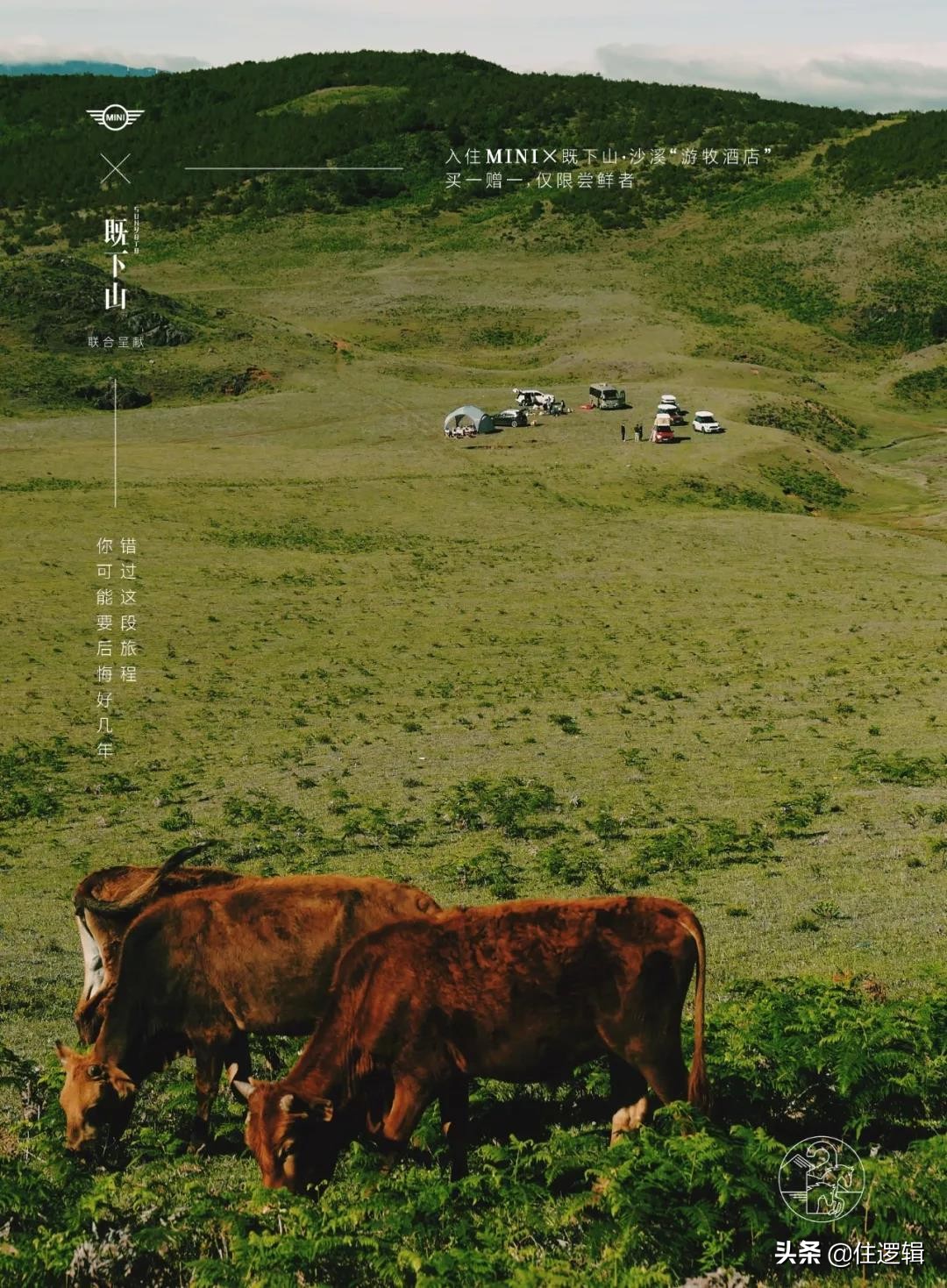 全球设计事件|LV绿了、北京机场方案火了、椅子变身“棺材”...