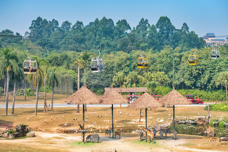 玩转广州长隆野生动物世界之行,广州长隆动物世界游玩攻略图