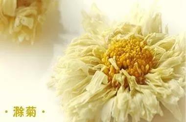 最适合糖尿病人喝的茶是哪一样,最适合糖尿病人喝的茶是什么茶