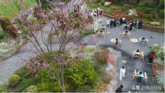 赏花攻略武汉,浪漫武汉赏花时间表