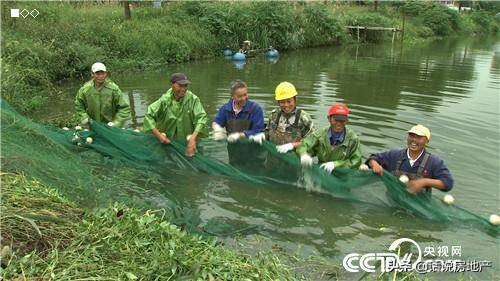 张高立：会跑步的鱼让他一年卖了6000万