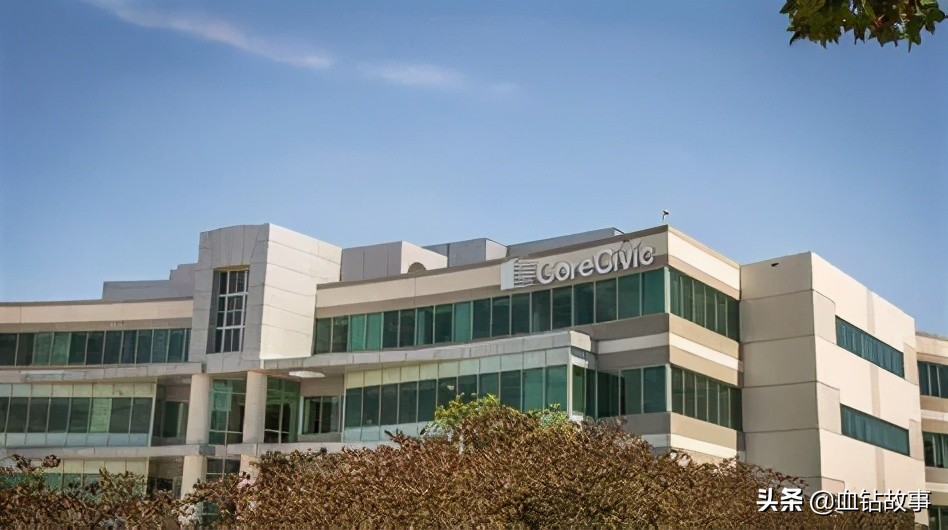 大洋彼岸的“子宫掠夺者”