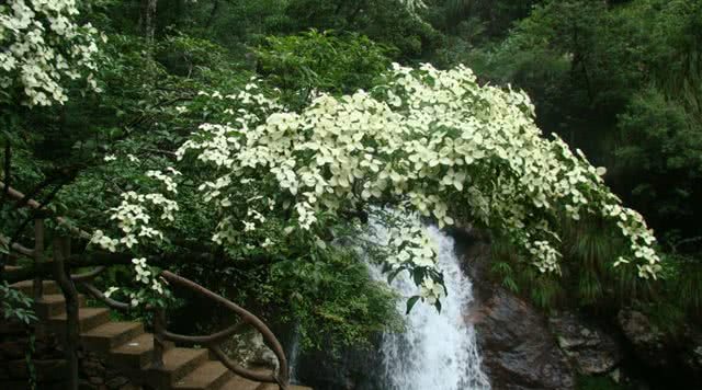 浙江有哪些有瀑布的旅游景点,浙江旅游景点推荐瀑布