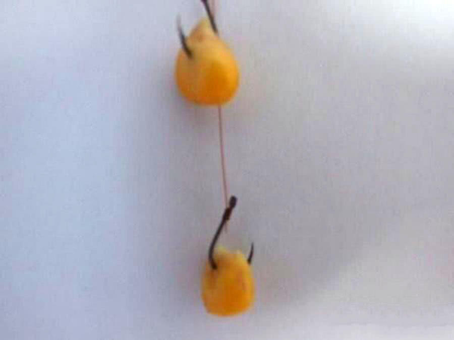 玉米粒钓大鱼最佳钓鱼方法,如何正确用玉米粒钓鱼