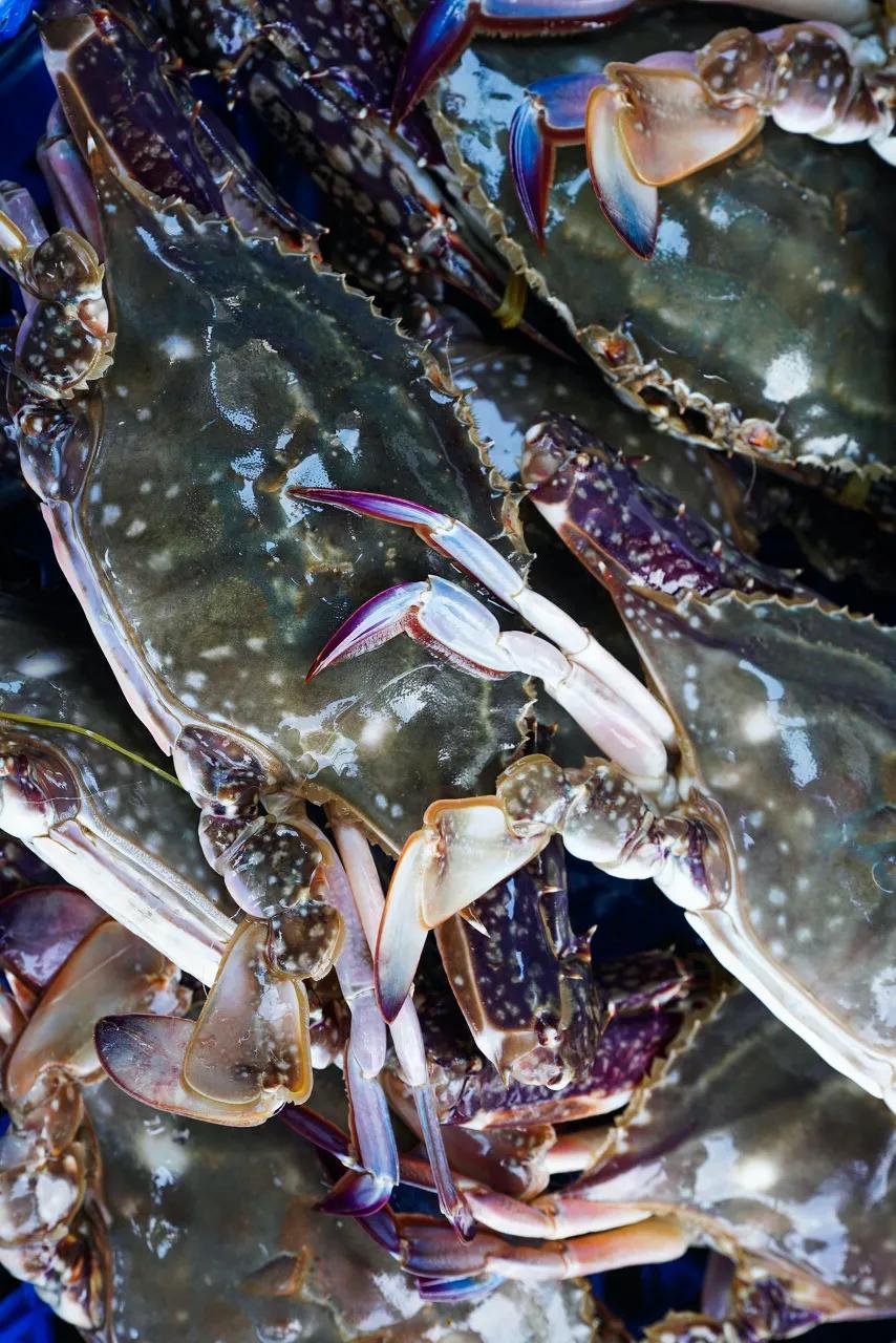 谁，才是包邮区的“海鲜帝国”？