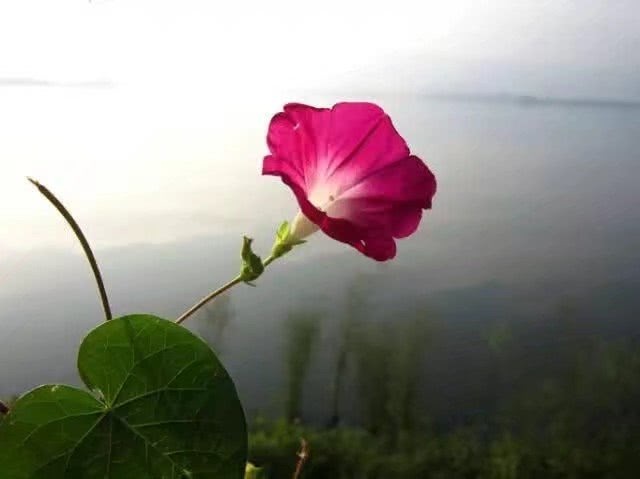 心理学通过穿衣服颜色看穿一个人,心理学怎样用颜色看透人心