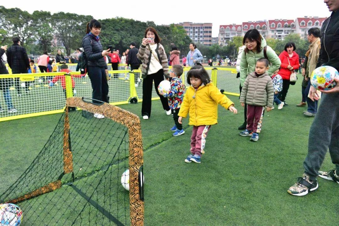 派迪茵体育有限公司,派迪茵体育直播