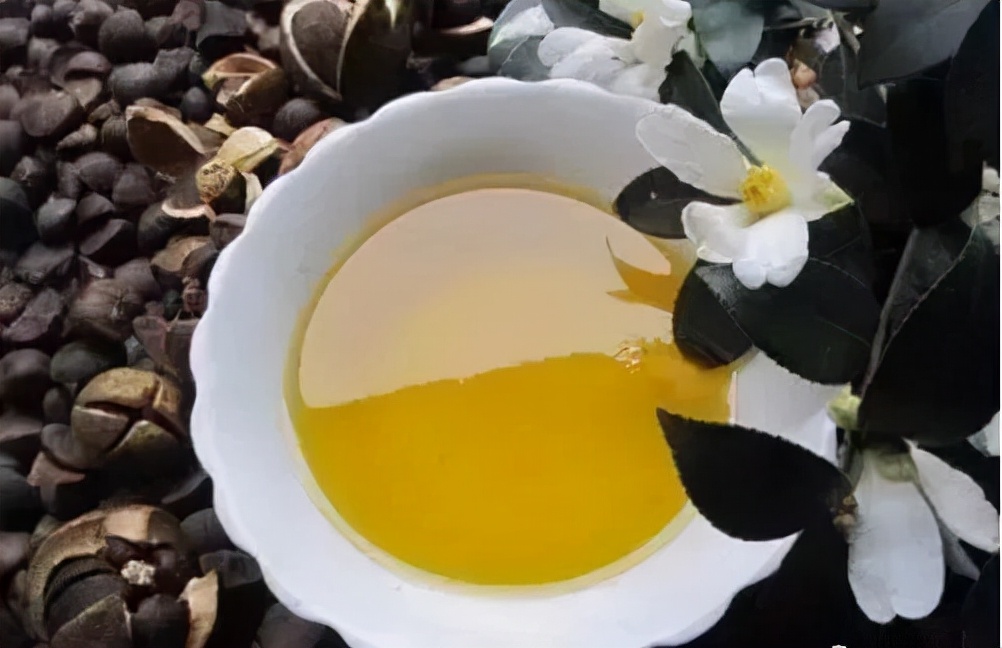 刘成的油茶种植地,刘成帮家庭农场