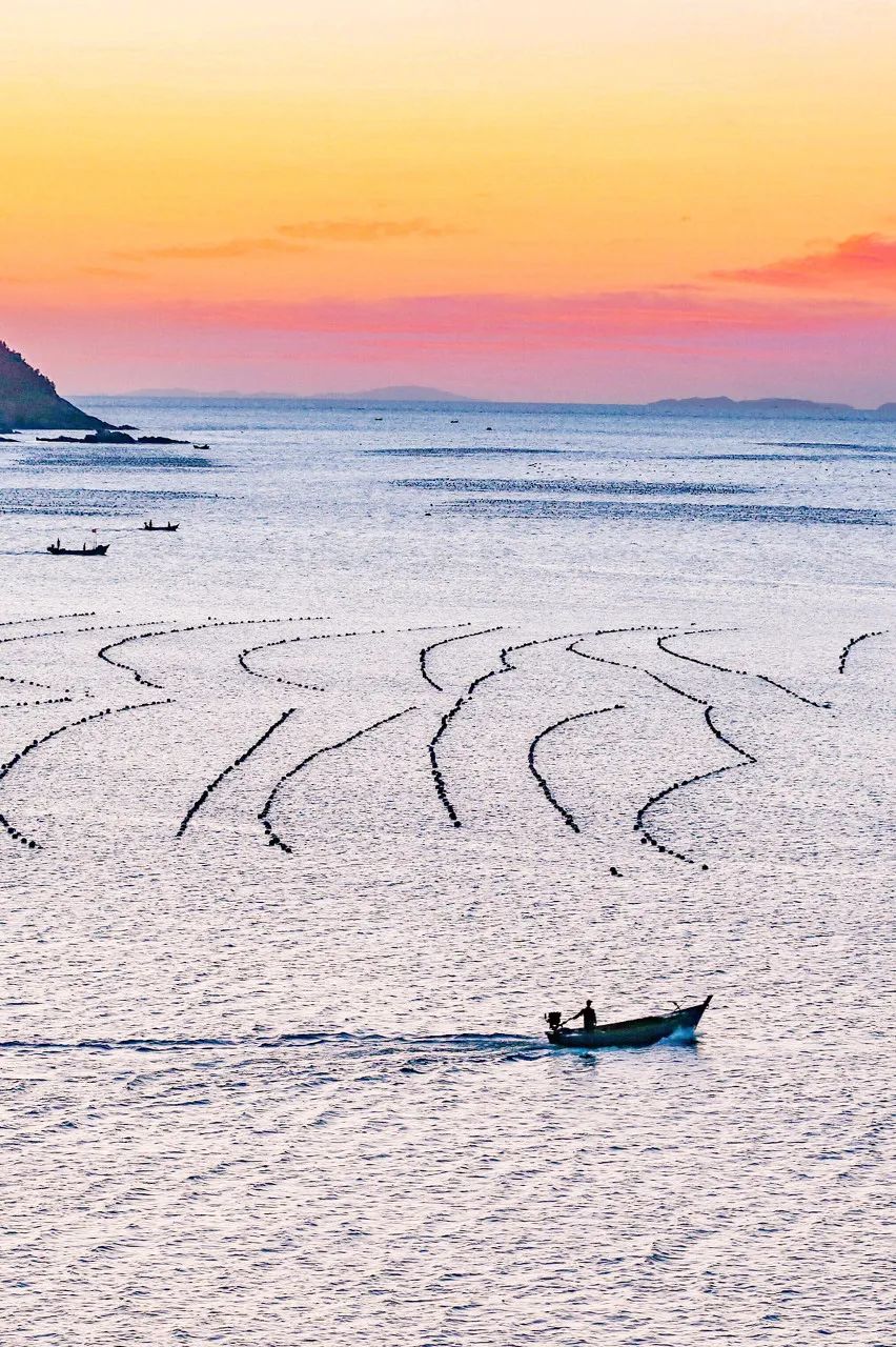 突然就想去成都了,突然想去青岛了