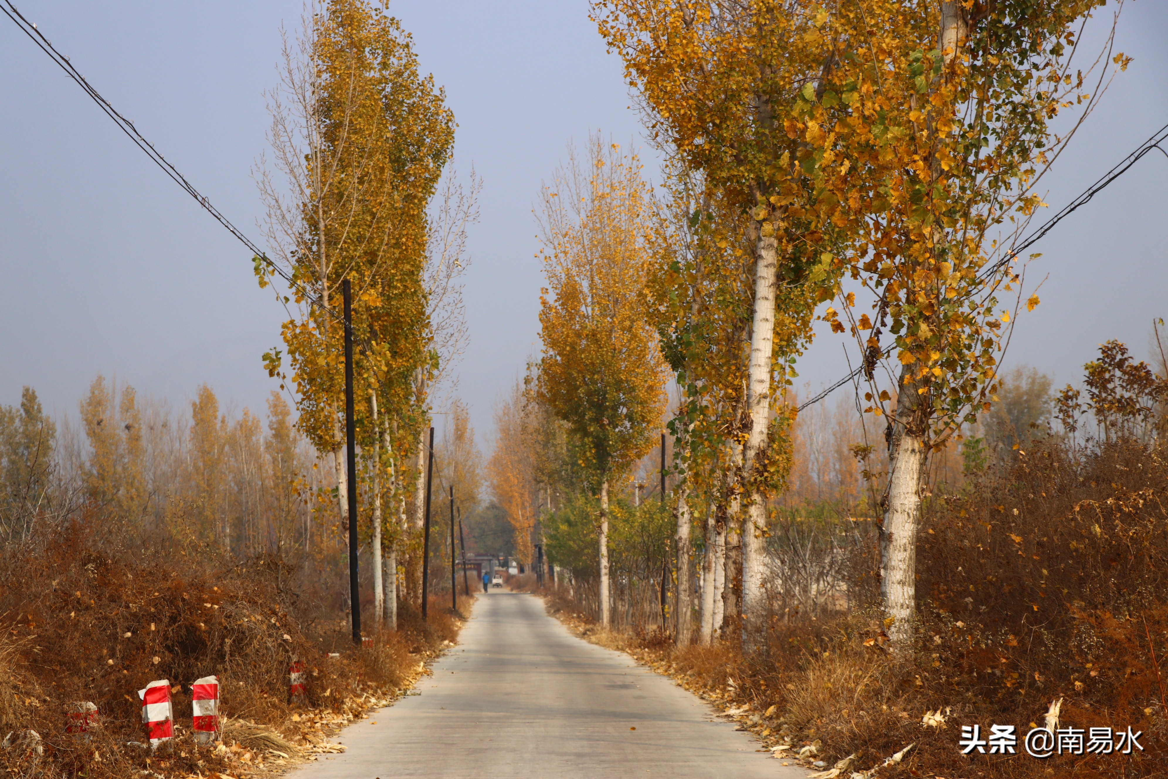 家乡风景带你一起感受自然的味道,令你难以忘怀的家乡的味道