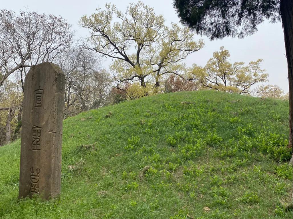 孔子葬地的秘密,孔子坟墓在哪儿