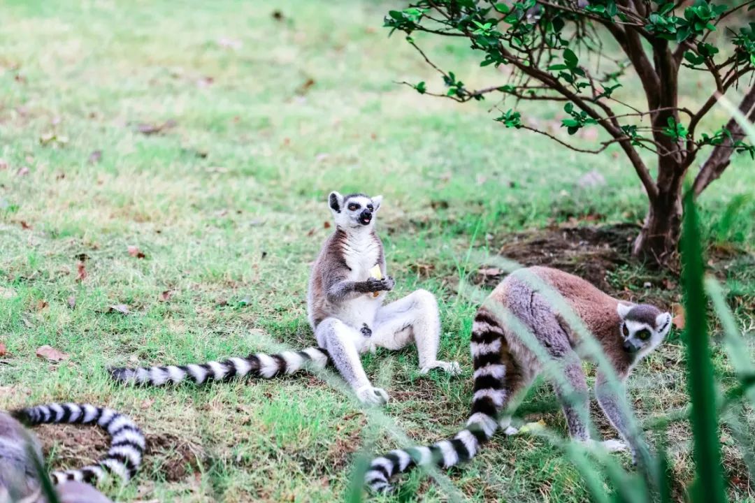 12月份上海周边好去处,上海年轻人周末玩乐好去处