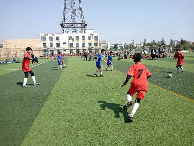 建设路小学市长杯,中州大道小学足球市长杯2018