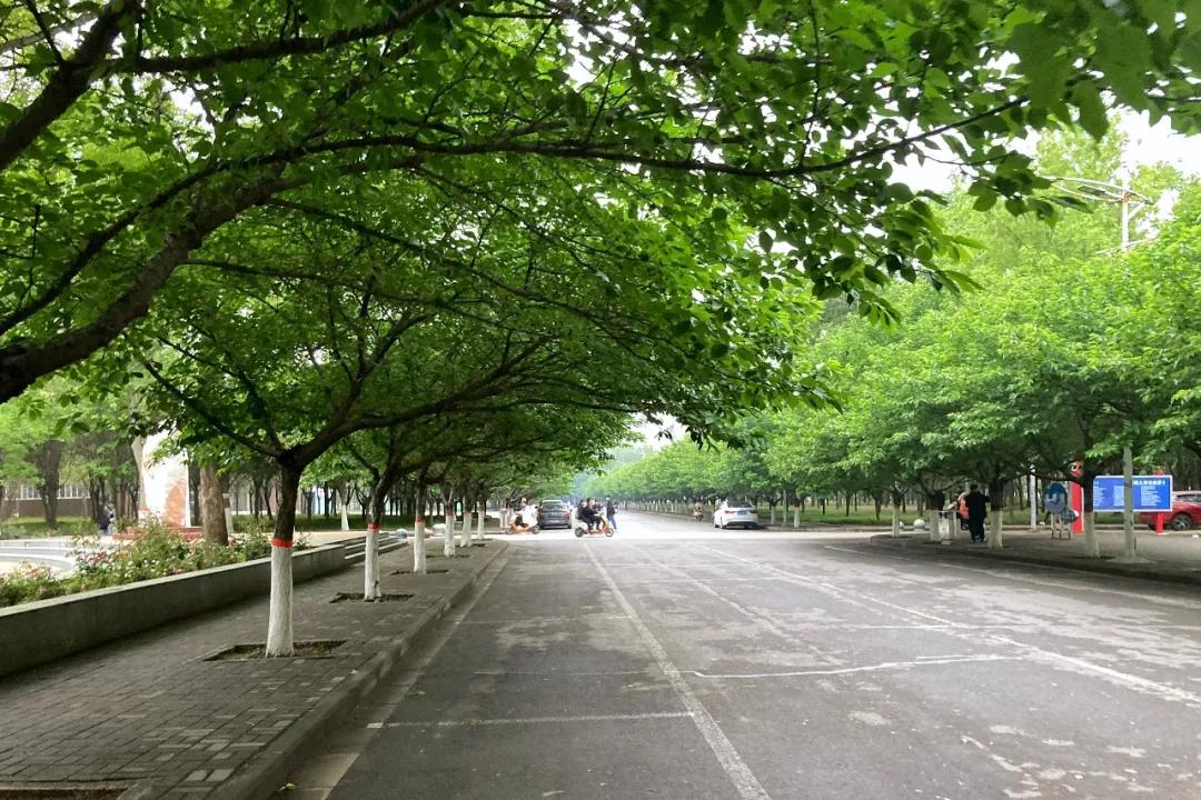 又是一年毕业季大学,又是一年毕业季餐饮套餐