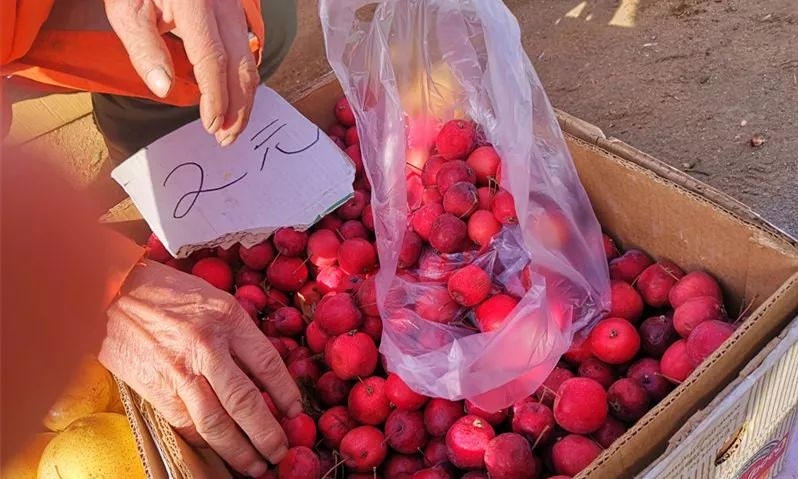 沈抚大集第五站：杜泊羊、大公鸡，到拉古村逛最淳朴大集！