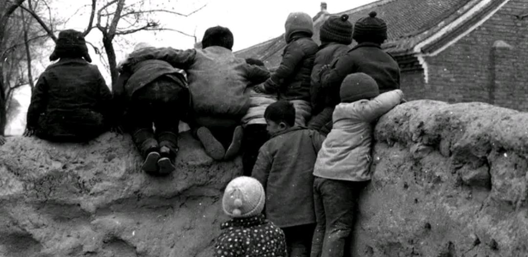 狗婆蛇是落水狗吗,狗婆蛇为啥不常见了