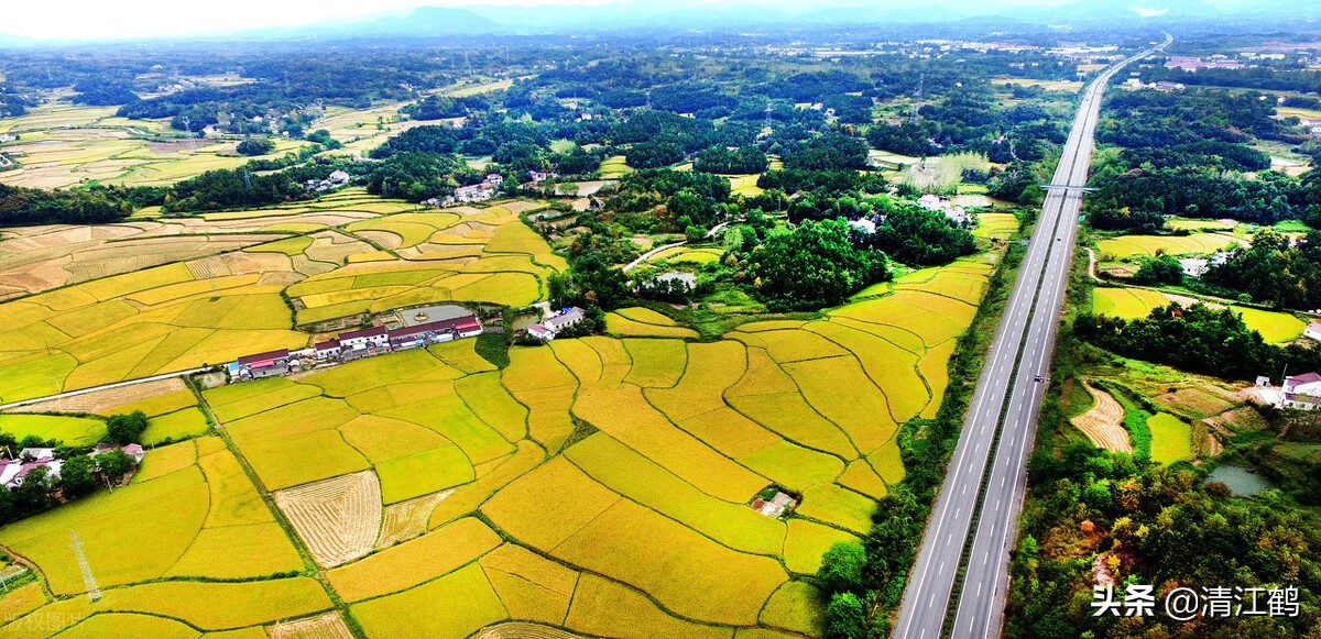 种子销售的前景,种子销售法则
