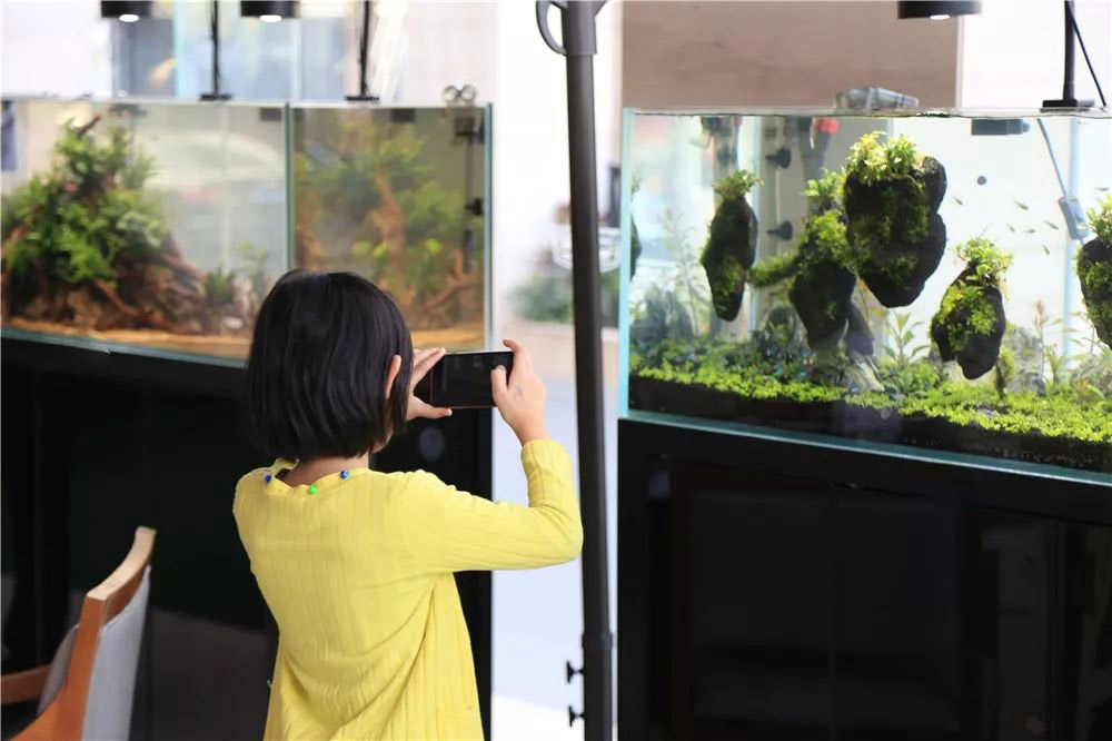 水族店的利润有多少,2023年水族店的发展前景