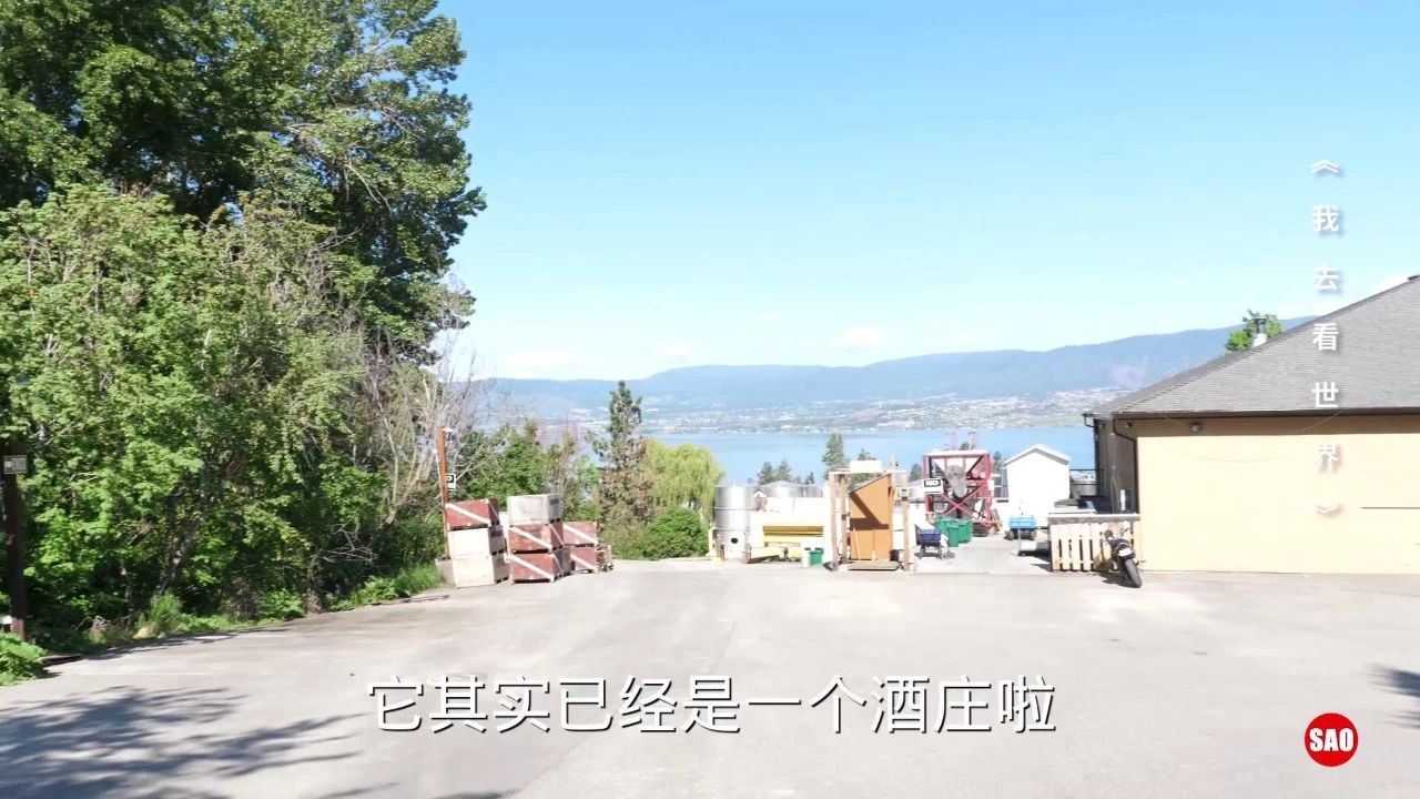 葡萄酒为什么放越久越好喝,干红葡萄酒放的时间多久好喝