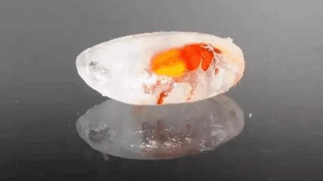 米虫是种什么,米虫从哪里来的视频