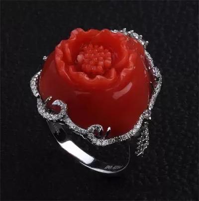 海洋的珍宝,海洋中珍贵的珊瑚