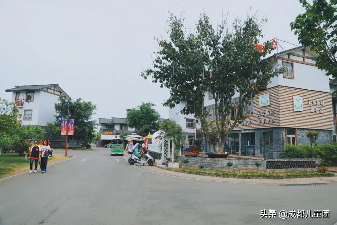 空港运动公园和空港花田哪个好耍,空港运动公园看飞机视频