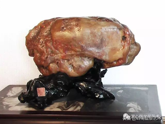 玩树藏石，不亦乐乎！