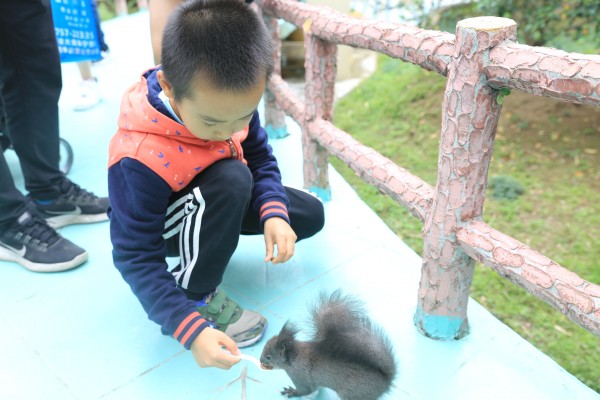 森林花海亲子游攻略,森林公园亲子游推荐