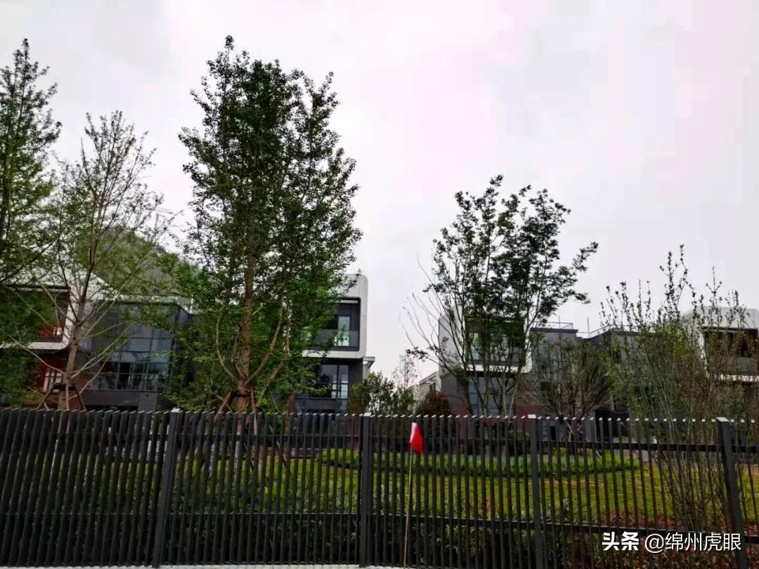 绵阳2021交房的高品质楼盘,绵阳各区域的高端楼盘