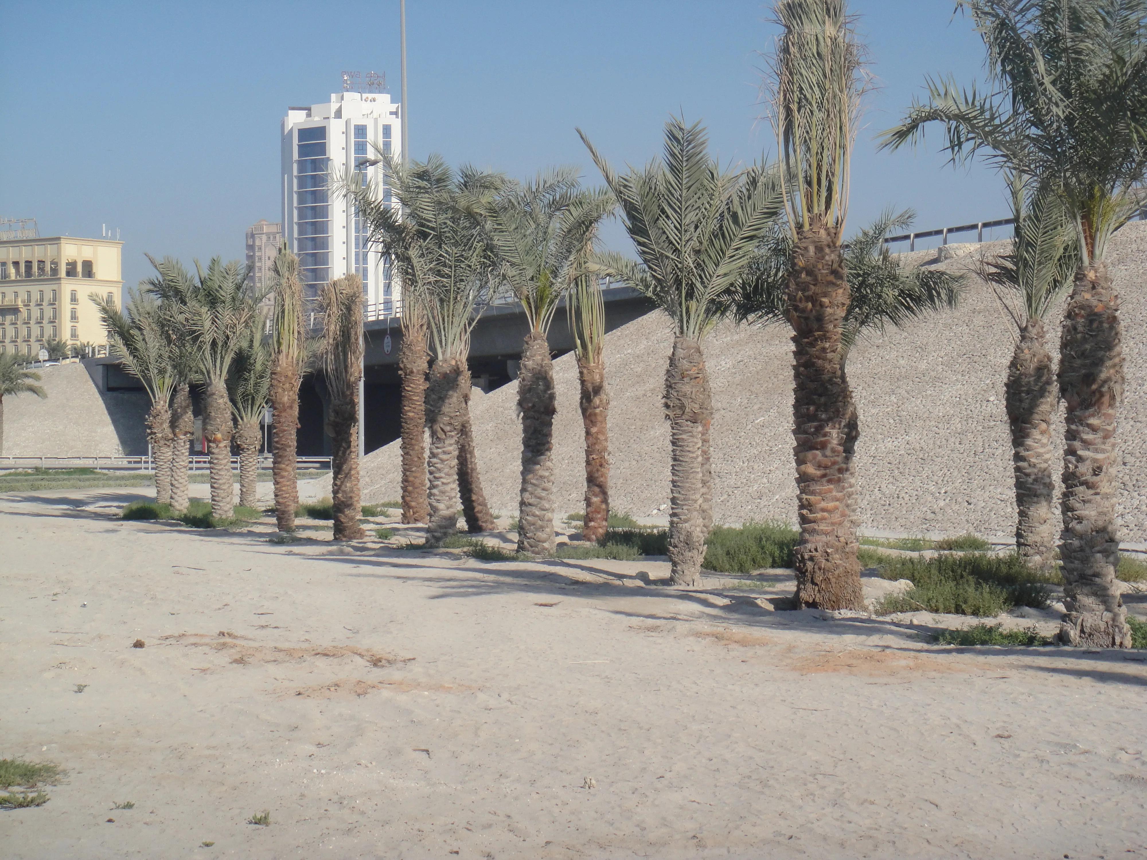 迪拜与香港对比,让人叹为观止的迪拜