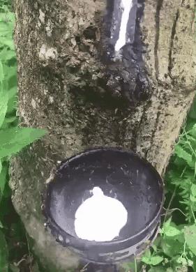 乳胶文胸解说,乳胶文胸注意事项