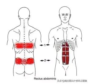 生完孩子后腰尾部很痛,生完孩子后腰痛小腹痛