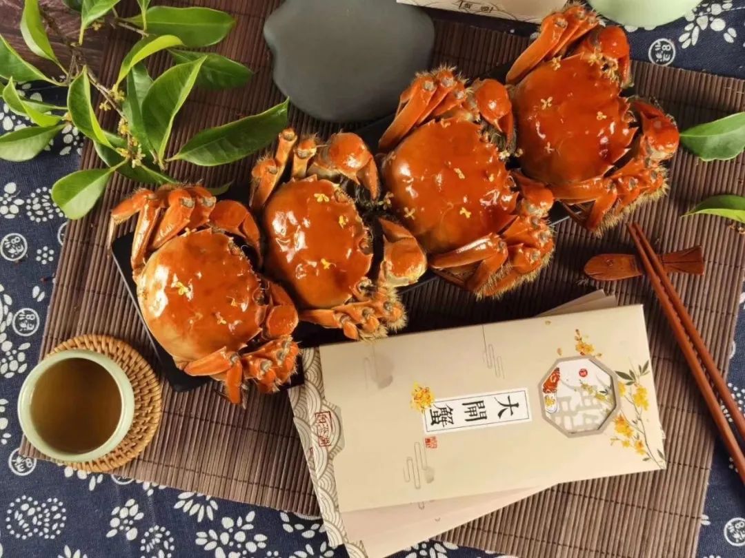 苏州旅游一定要去的地方推荐,去苏州旅游攻略必备