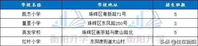 珠幼招生简章,珠晖区小学秋季招生计划