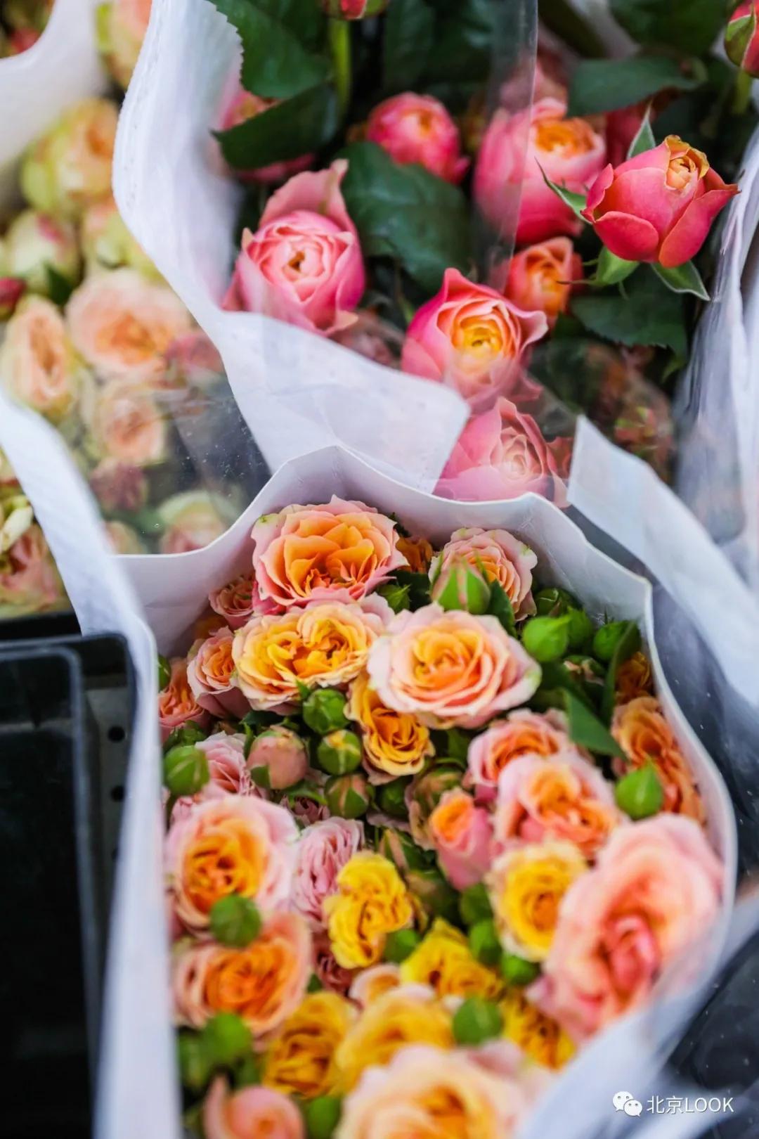 最便宜的北京花市,北京超好逛的花市